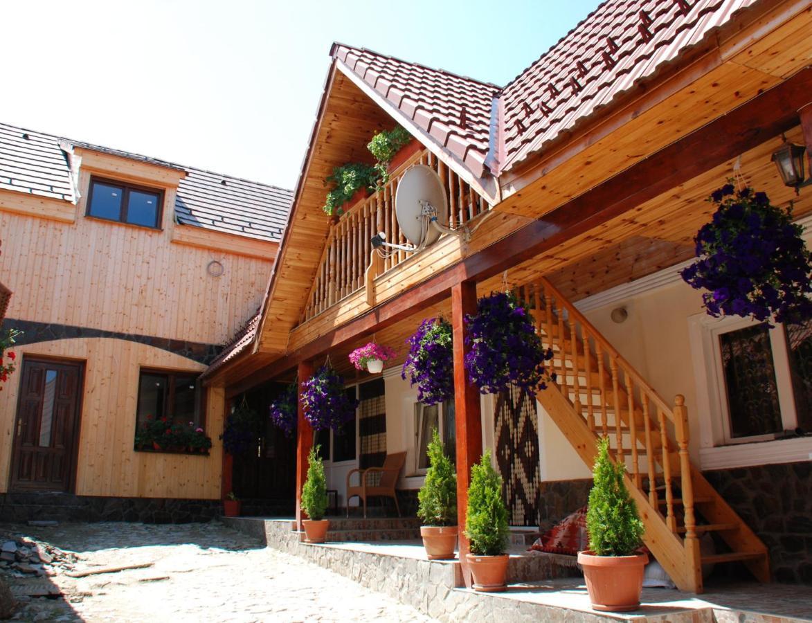 Pensiunea Iulia Rod Ngoại thất bức ảnh